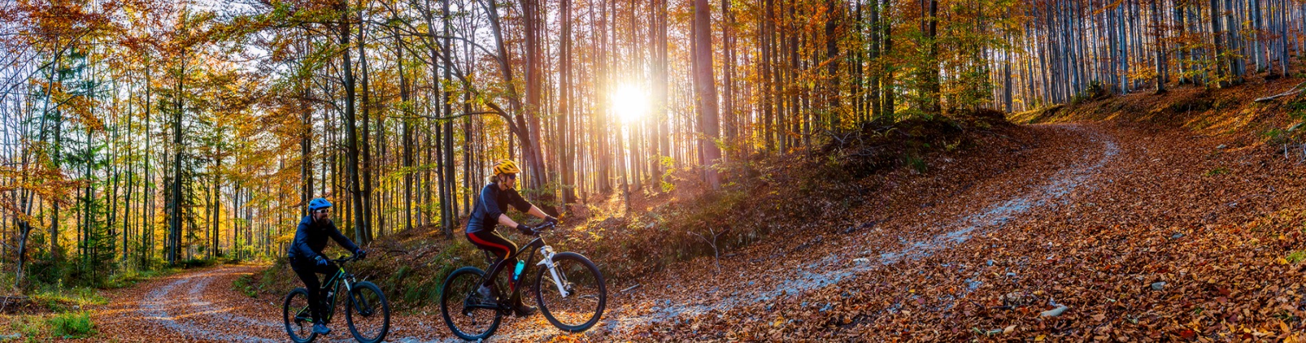 FietsVitaal