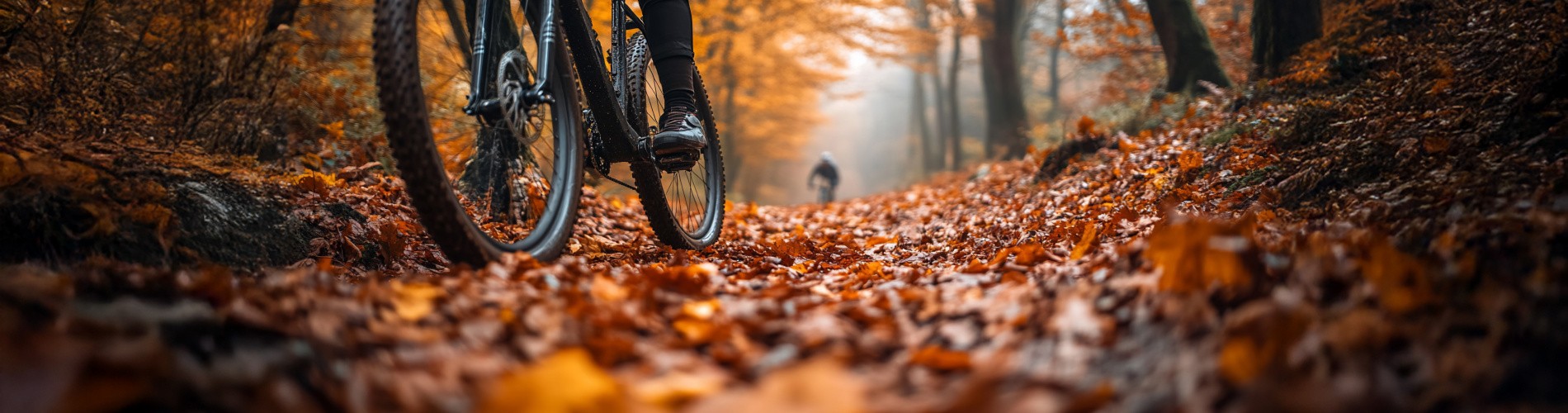 FietsVitaal